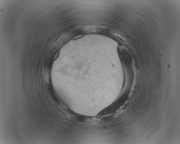 X0000067470125200605051657