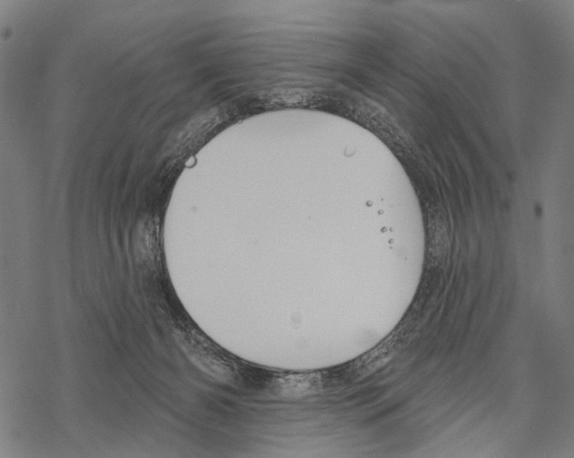 X0000067470126200605051657