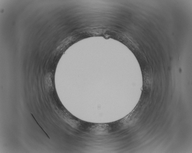 X0000067470128200605051657