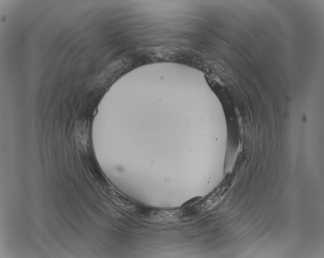 X0000067470129200605051657