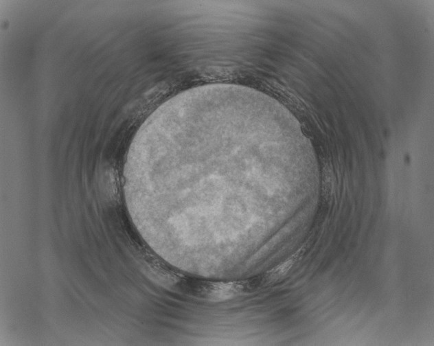 X0000067470130200605051657