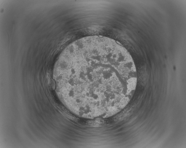 X0000067470131200605051657