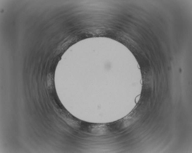 X0000067470132200605051657