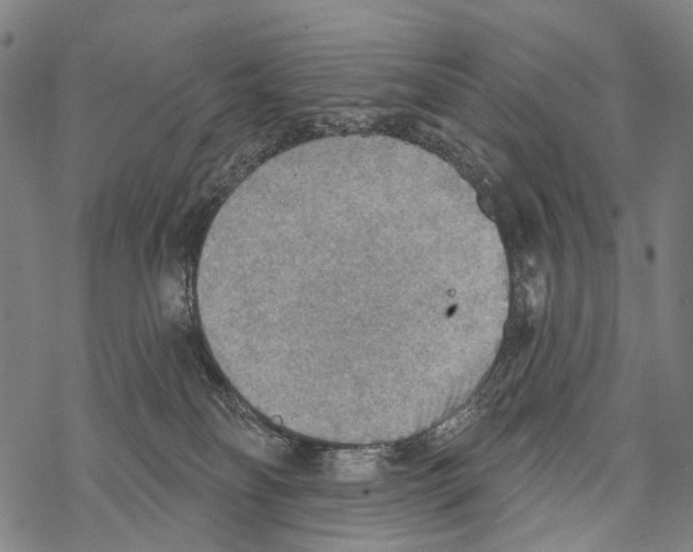 X0000067470134200605051657