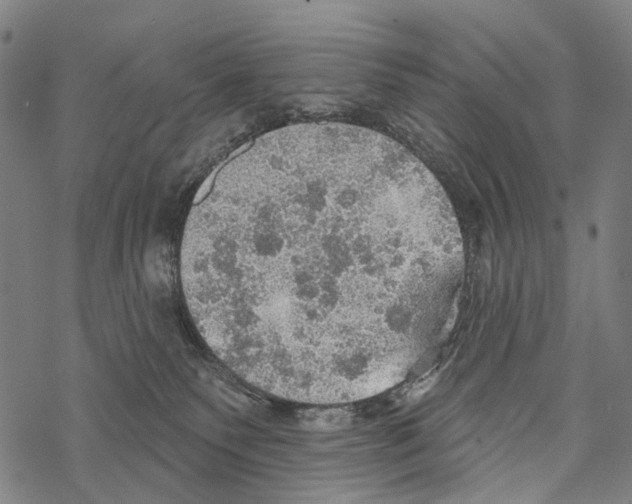 X0000067470135200605051657