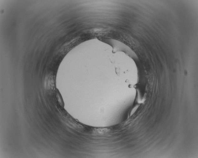 X0000067470137200605051657