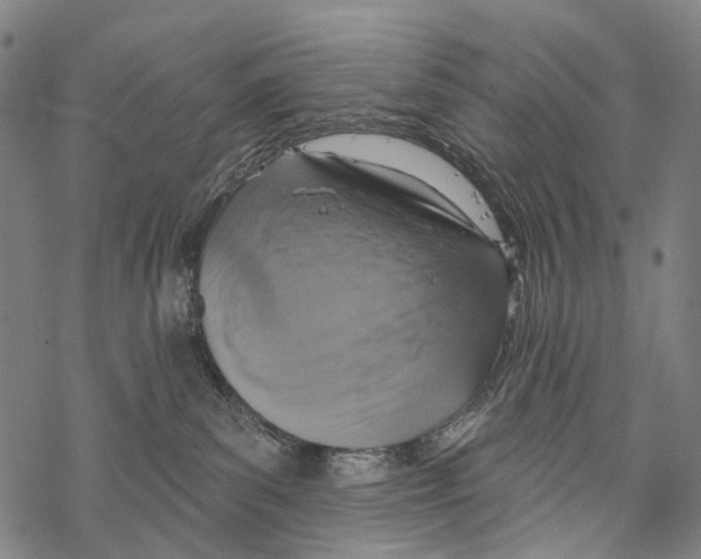 X0000067470139200605051656