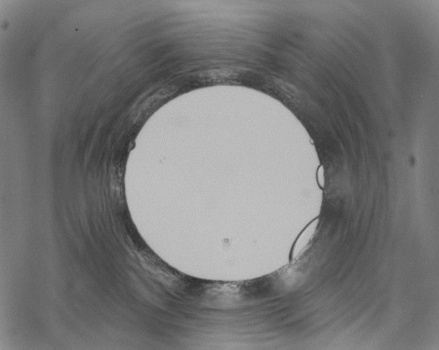 X0000067470140200605051656