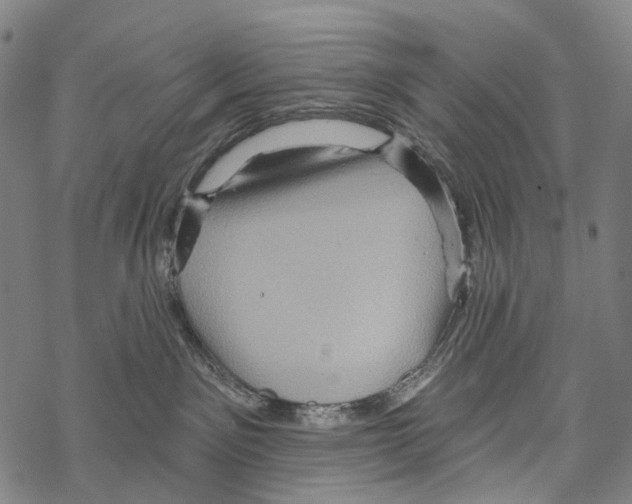 X0000067470141200605051656