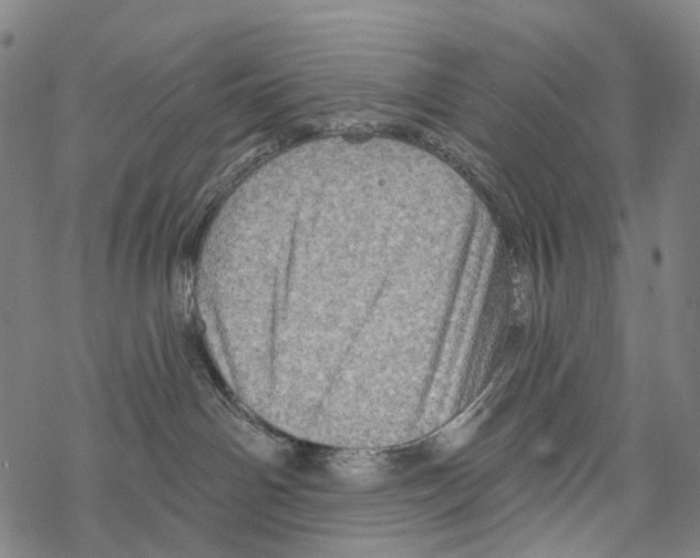 X0000067470142200605051656