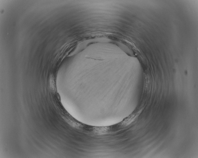 X0000067470143200605051656