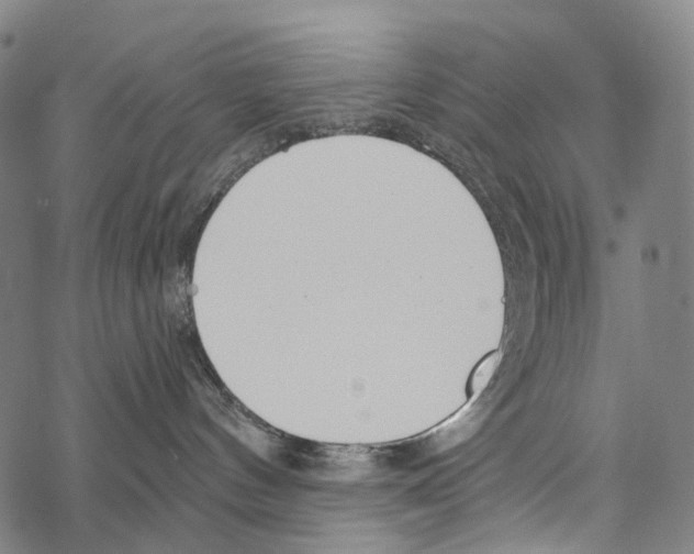 X0000067470144200605051656