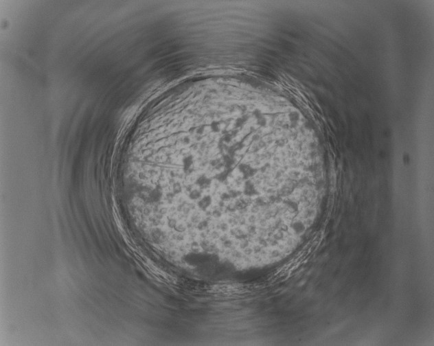 X0000067470145200605051656