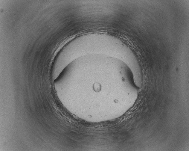 X0000067470146200605051656