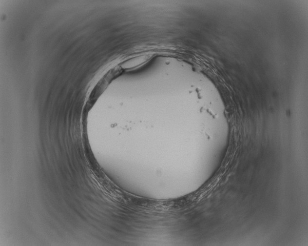 X0000067470148200605051656