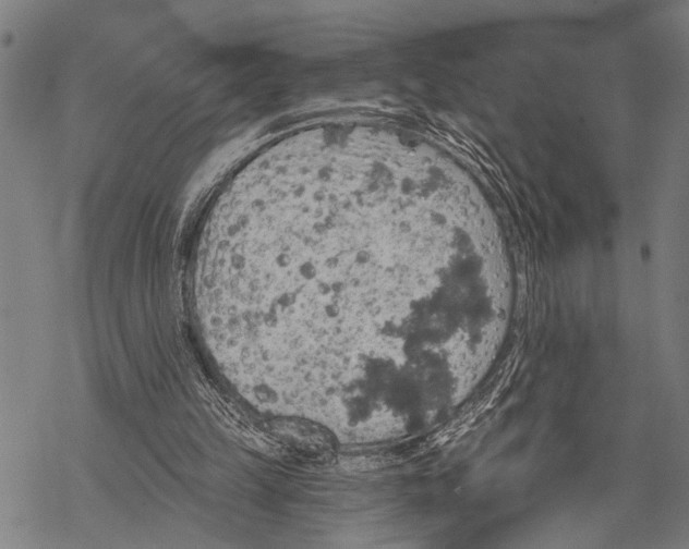 X0000067470149200605051656