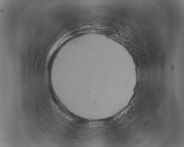 X0000067470150200605051656