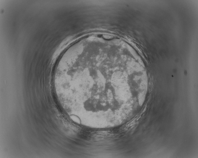 X0000067470151200605051656