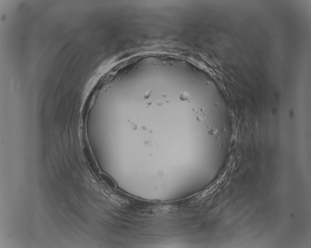 X0000067470152200605051656