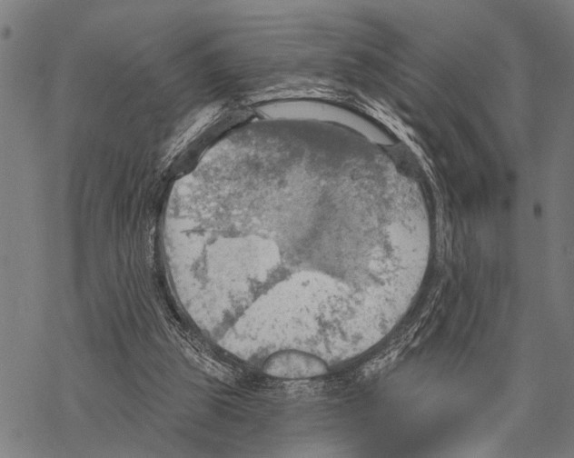 X0000067470153200605051656