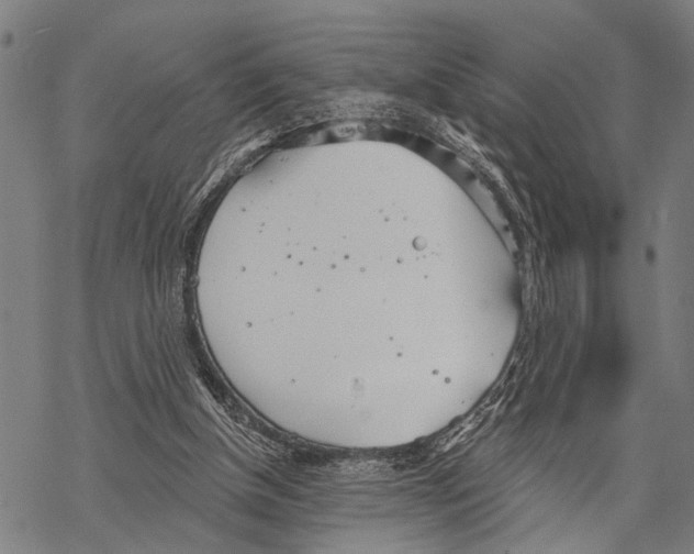 X0000067470154200605051656