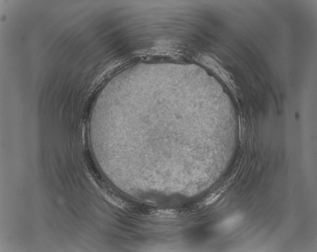 X0000067470157200605051656