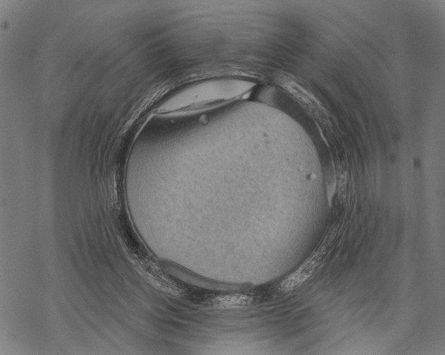 X0000067470158200605051656