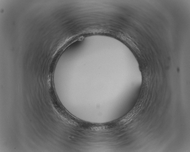 X0000067470160200605051656