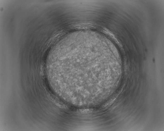 X0000067470161200605051656