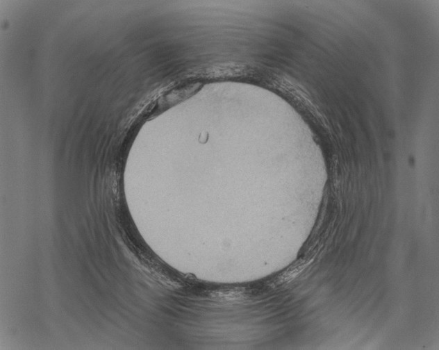 X0000067470164200605051656