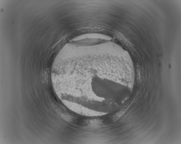 X0000067470165200605051656