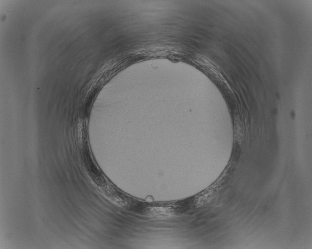 X0000067470167200605051656