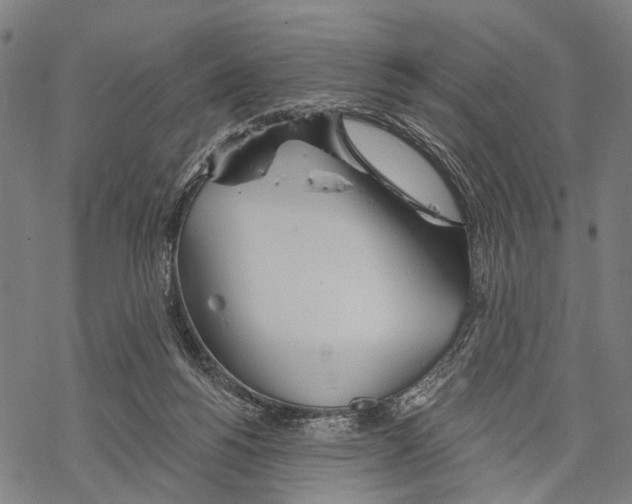 X0000067470168200605051656