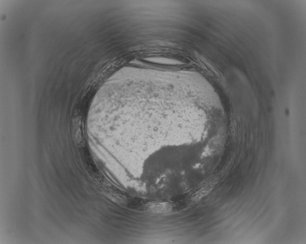 X0000067470169200605051656