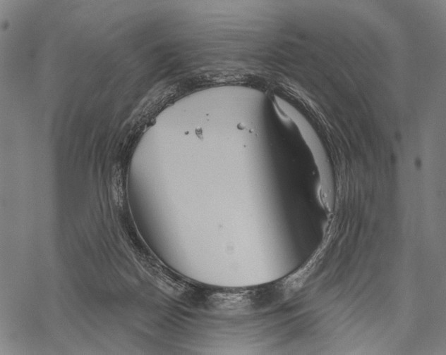 X0000067470170200605051656