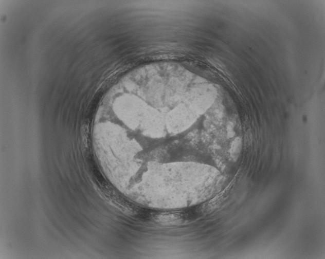 X0000067470171200605051656