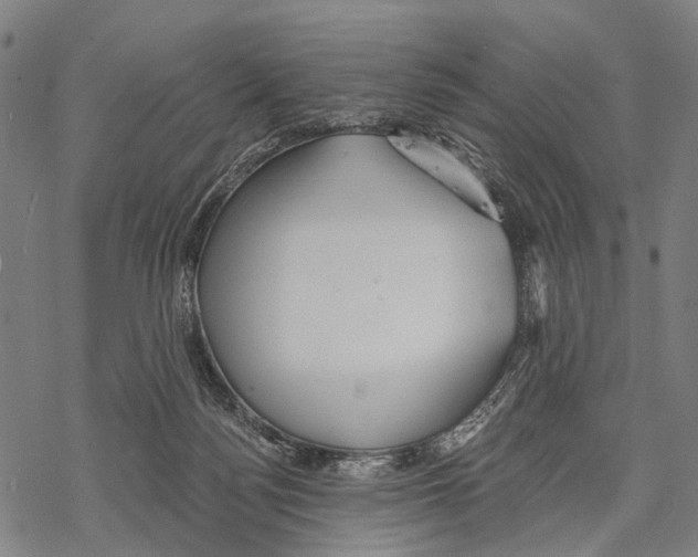 X0000067470172200605051656