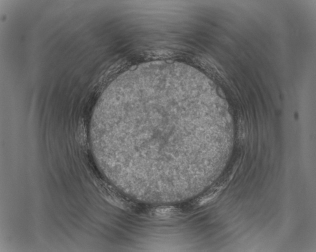 X0000067470173200605051656