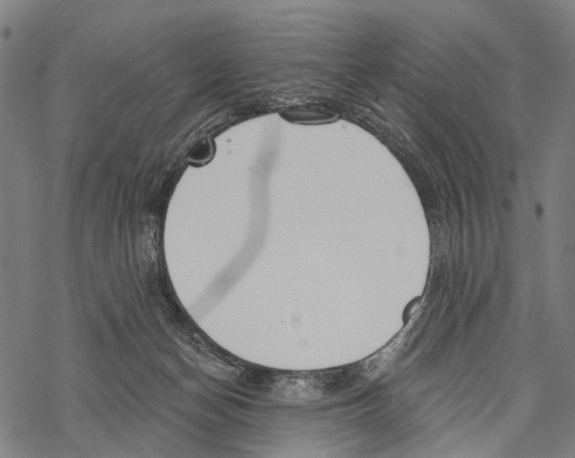 X0000067470174200605051656