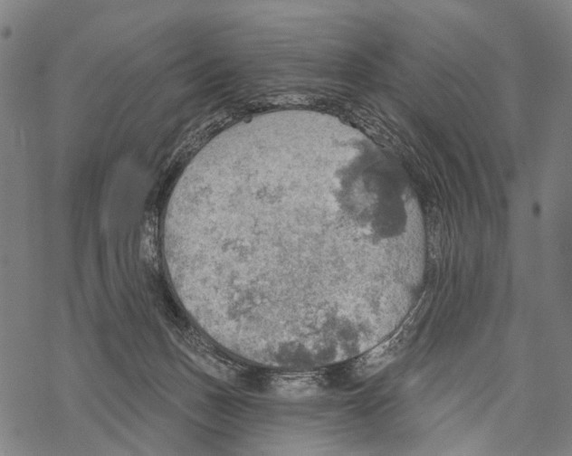 X0000067470175200605051656