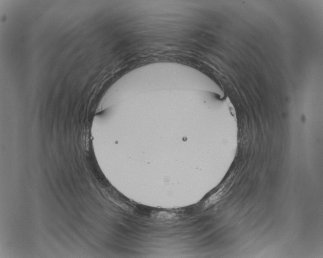 X0000067470180200605051656