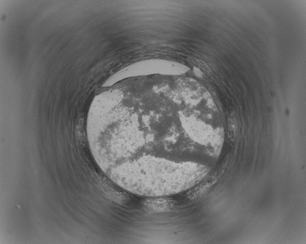 X0000067470181200605051656