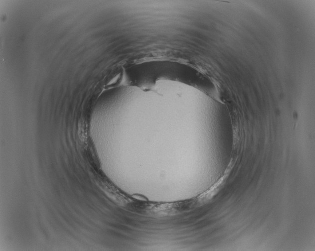 X0000067470186200605051656