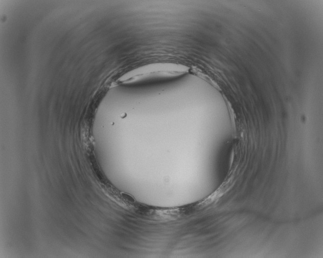 X0000067470188200605051656