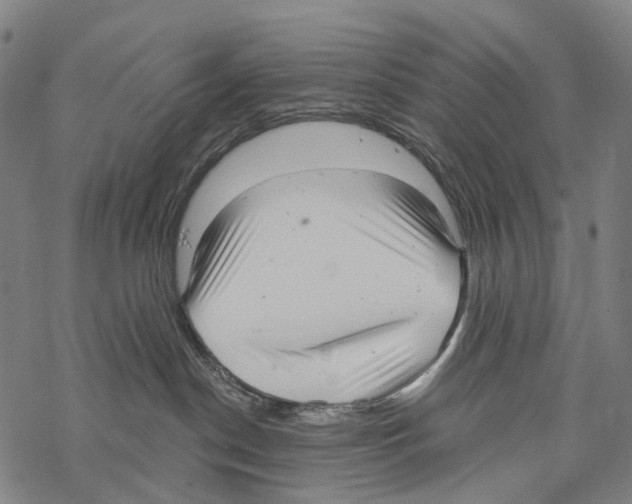 X0000067470190200605051656