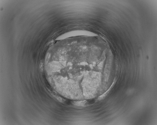 X0000067470191200605051656