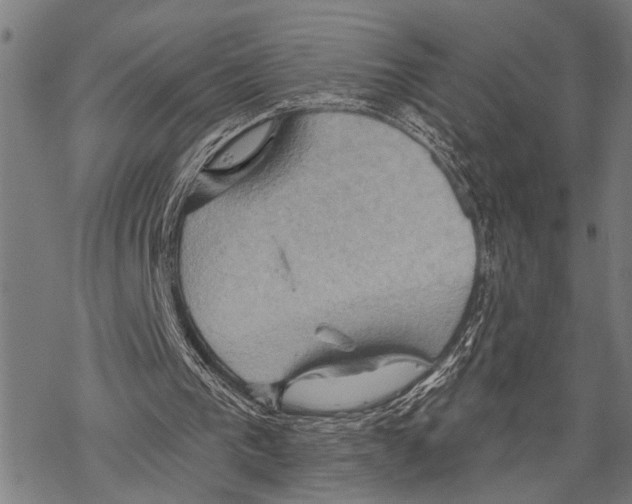 X0000067470193200605051656