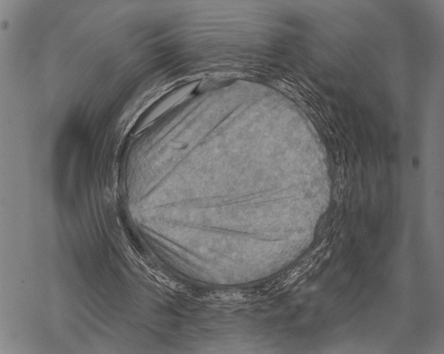 X0000067470194200605051656