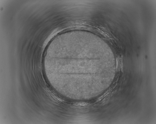 X0000067470195200605051656