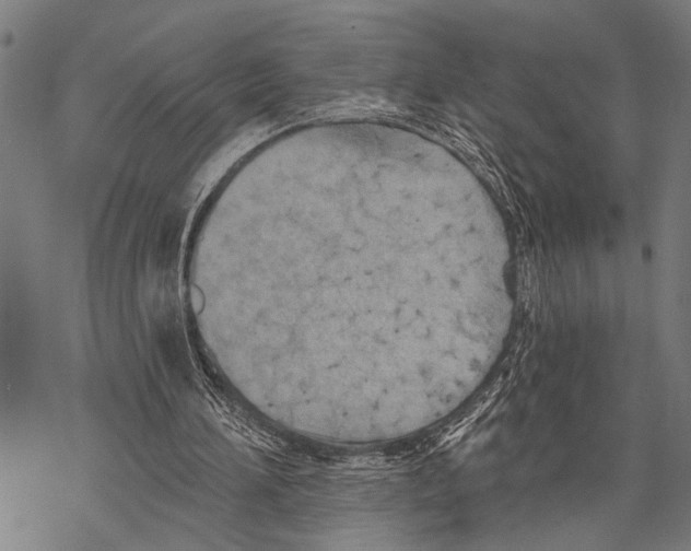 X0000067470196200605051655